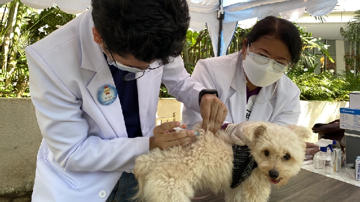 Pentingnya Vaksinasi Rabies untuk Anjing Kesayanganmu