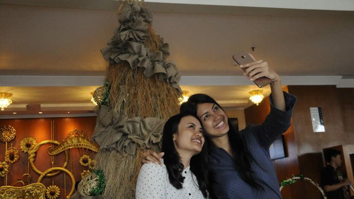 pohon natal akar wangi