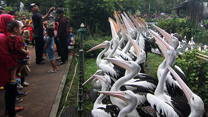 H+2 Idul Fitri, 40.000 Orang Kunjungi Ragunan