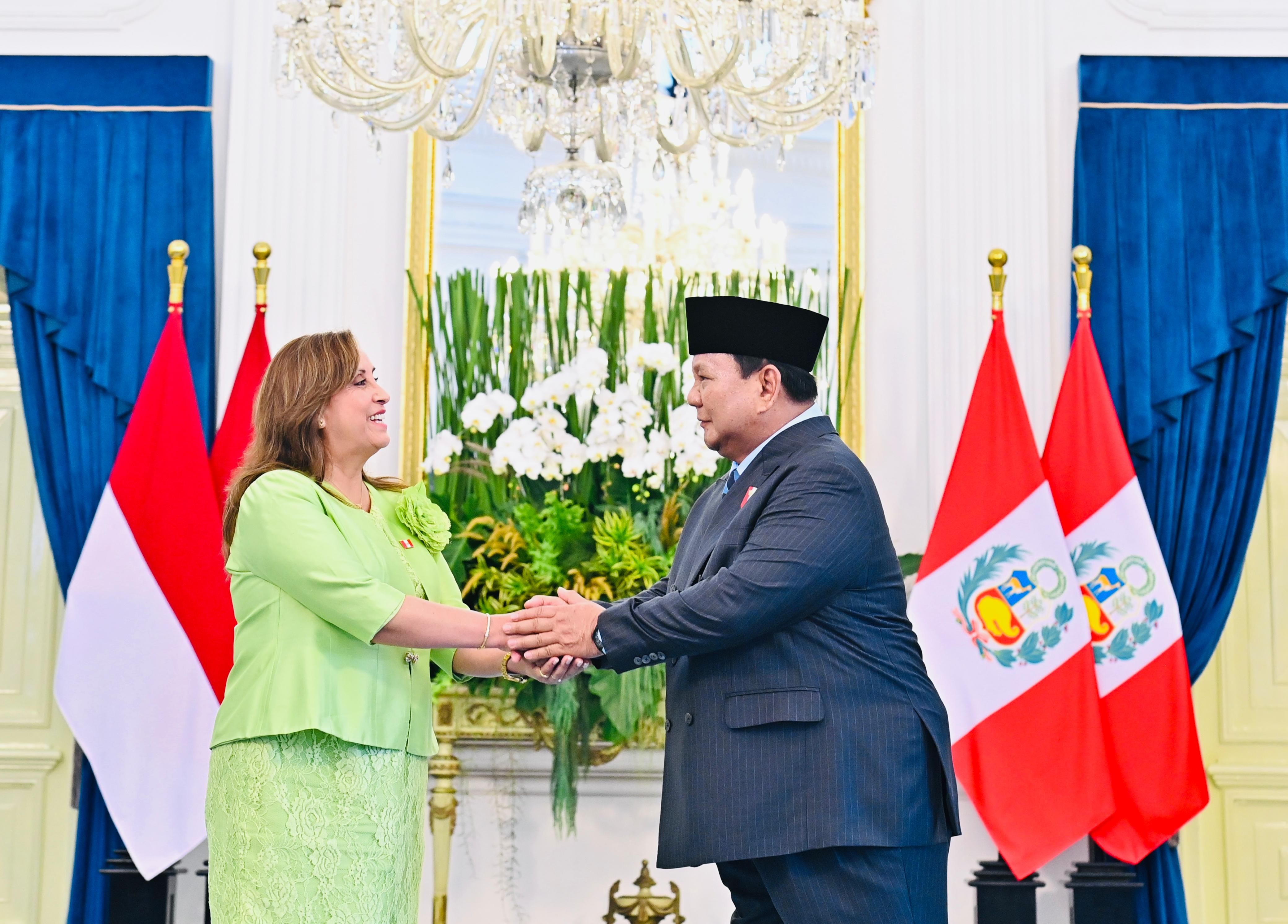 Momen Akrab Presiden Prabowo Terima Kunjungan Presiden Peru Dina Ercilia Boluarte  