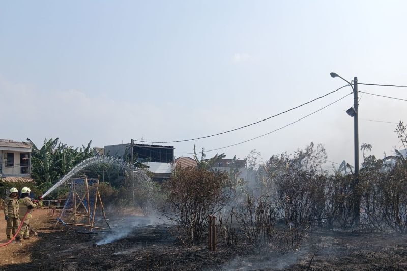 Karhutla Juga Terjadi di Jakarta Utara, Puntung Rokok Picu Kerugian Rp 60 Juta