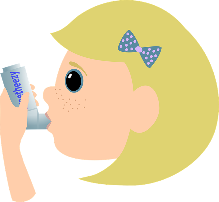 Lengkuas bermanfaat mengurangi kadar asma. (Foto: Pixabay/OpenClipart-Vectors)