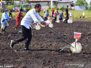 Survei IndEX: Tingkat Kepuasan Publik Terhadap Jokowi 60,8 Persen