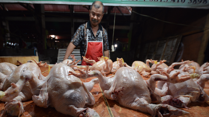 Terdampak Natal dan Tahun Baru, Harga Ayam Potong Melonjak Drastis 