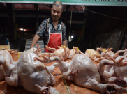 Terdampak Natal dan Tahun Baru, Harga Ayam Potong Melonjak Drastis