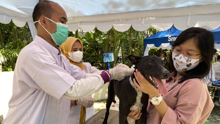 Dengan melakukan vaksinasi rabies, kamu bisa mencegah kematian pada hewan peliharaan dan keselamatan orang di sekitar. (Foto: Hepi.inc)