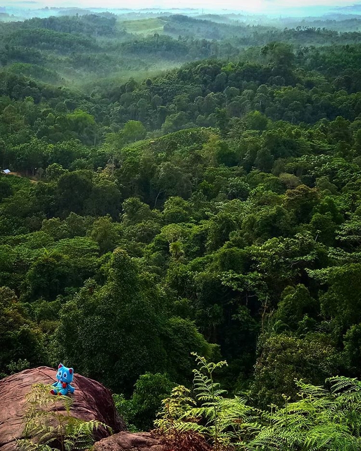 Bukit Soeharto. (Foto: instagram.com/kucingtheexplorer)