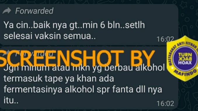 Tangkapan layar hoaks. (Foto: Mafindo)