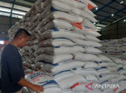 Pemerintah Perbanyak Cadangan 11 Komoditas Pangan Hadapi  El Nino