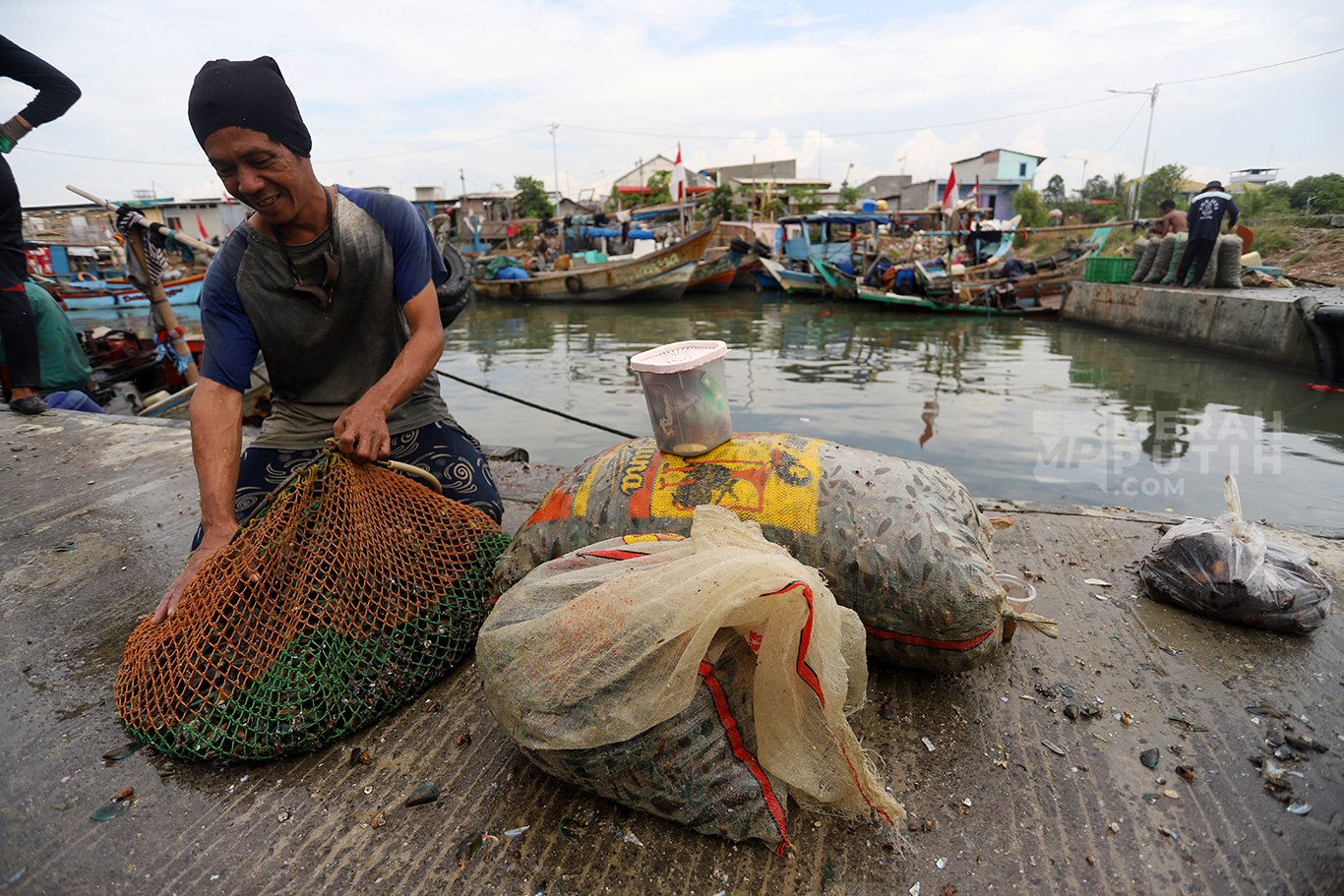 Hasil Tangkapan nelayan Kerang Hijau Terdampak Pagar Beton Laut Cilincing Jakarta Utara