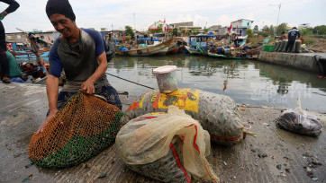 Hasil Tangkapan nelayan Kerang Hijau Terdampak Pagar Beton Laut Cilincing Jakarta Utara