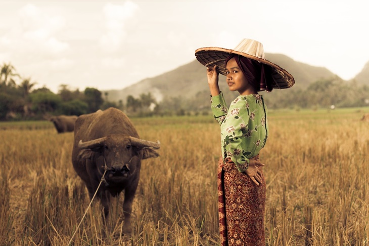 kampung