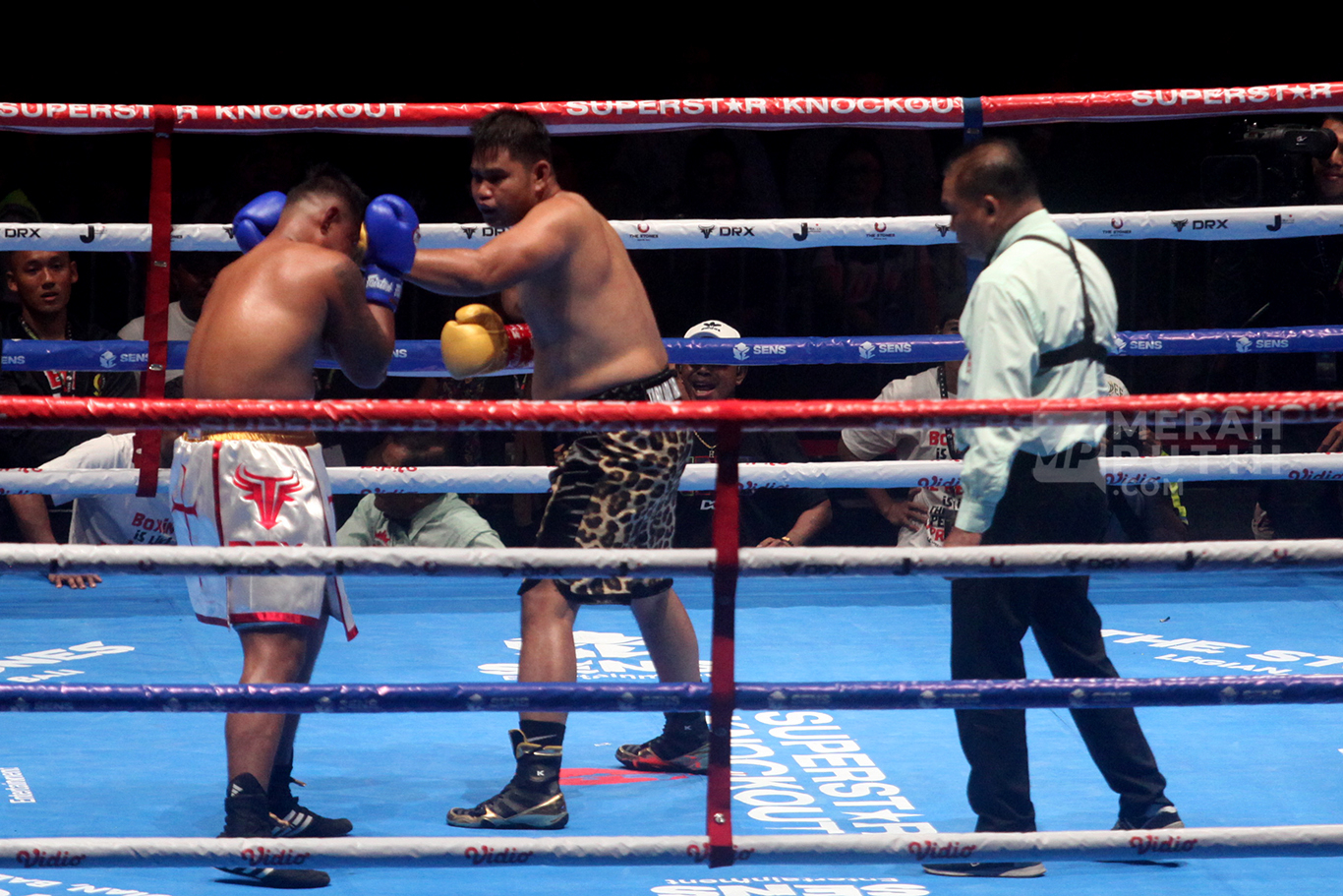 Superstar Knockout Vol 2: Jeremy Sihotang “Jerstank” Kalahkan Alam Paspampres Syaputra