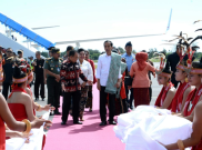 KPK Puji Presiden Jokowi Laporkan Kuda Hadiah dari Masyarakat NTT 