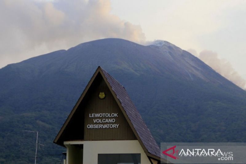 Aktivitas kegempaan Gunung Ile Lewotolok Meningkat Selama Sepekan