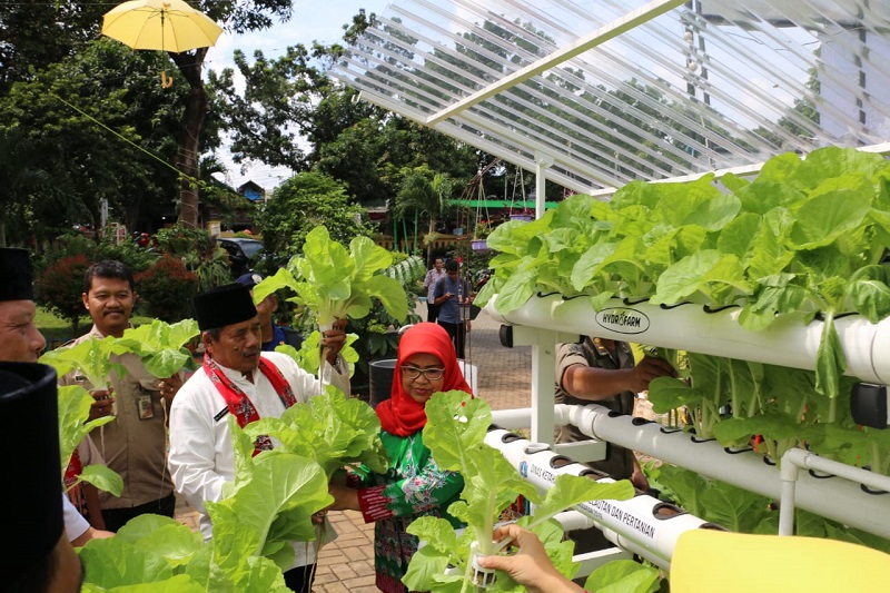 Teknologi Berkembang, Milenial Bisa Lirik Bisnis Pertanian