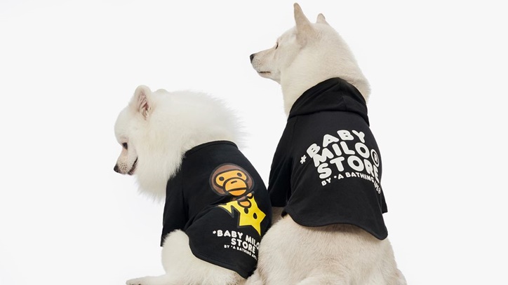 BAPE Baby Milo Pet Collection Bikin Tampilan Anjing Kesayanganmu Hypebeast