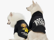 BAPE Baby Milo Pet Collection Bikin Tampilan Anjing Kesayanganmu Hypebeast