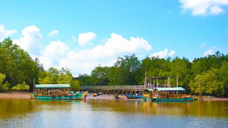 Ilmuwan LIPI Ungkap Pentingnya Mangrove untuk Hadang Tsunami