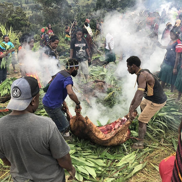 Penduduk sedang mengangkat hewan dalam tradisi barapen. (Foto: Pixabay/bima_.sakti)