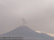  Hari Ini Gunung Semeru 3 Kali Meletus, Erupsi Tertinggi 800 Meter