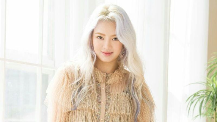 Hyoyeon Girls Generation Rambah Musik EDM 