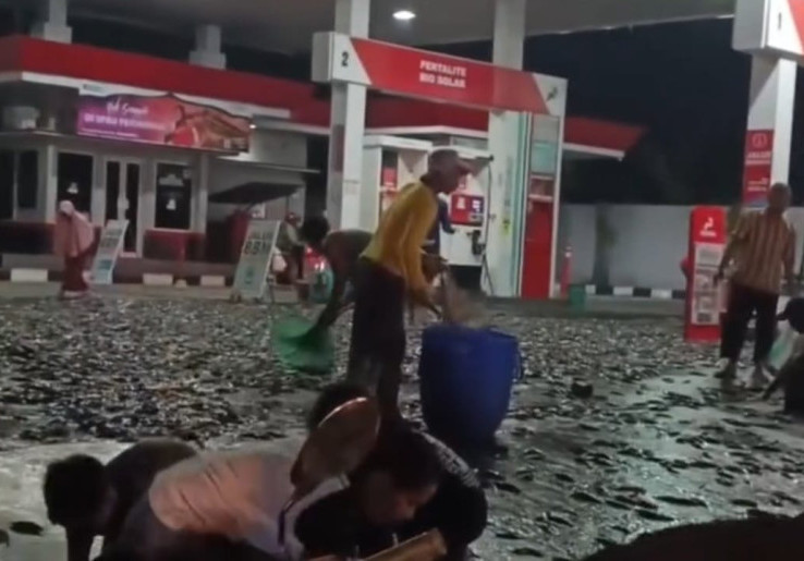 Viral Ribuan Lele Lepas di SPBU, Warga Ramai Ikut Kumpulkan