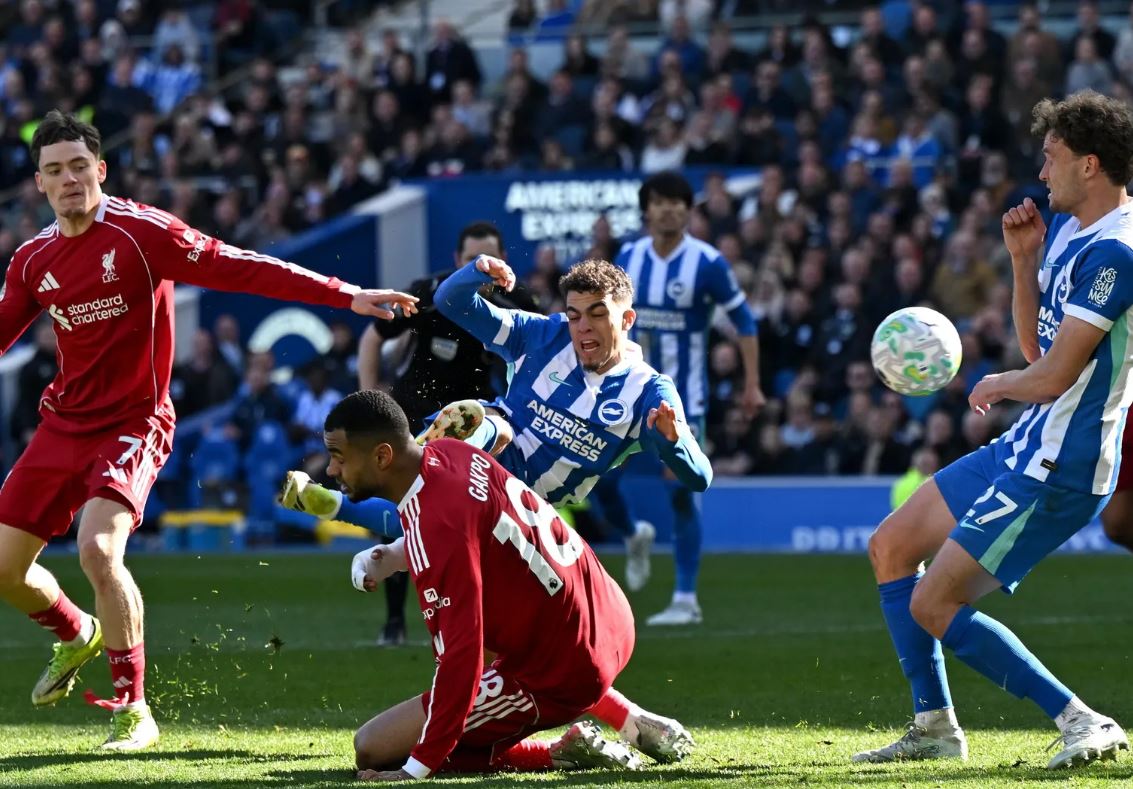 Superkomputer Terbukti Akurat, Liverpool Keok Lawan Brighton