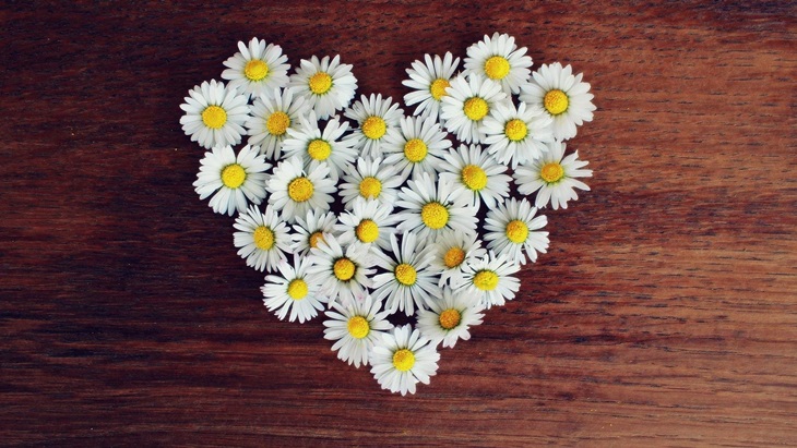 'White Day', Hari Valentine Kedua Bagi Orang Jepang
