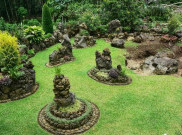 Belajar Filosofi Kehidupan di Taman Batu Organik