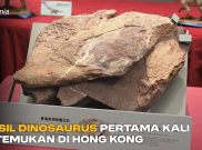 Ditemukan Fosil Dinosaurus Pertama di Hong Kong