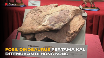 Ditemukan Fosil Dinosaurus Pertama di Hong Kong
