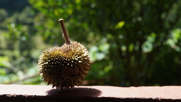 Untuk Sebagian Negara Makanan ini Sangat Dilarang