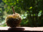 Untuk Sebagian Negara Makanan ini Sangat Dilarang