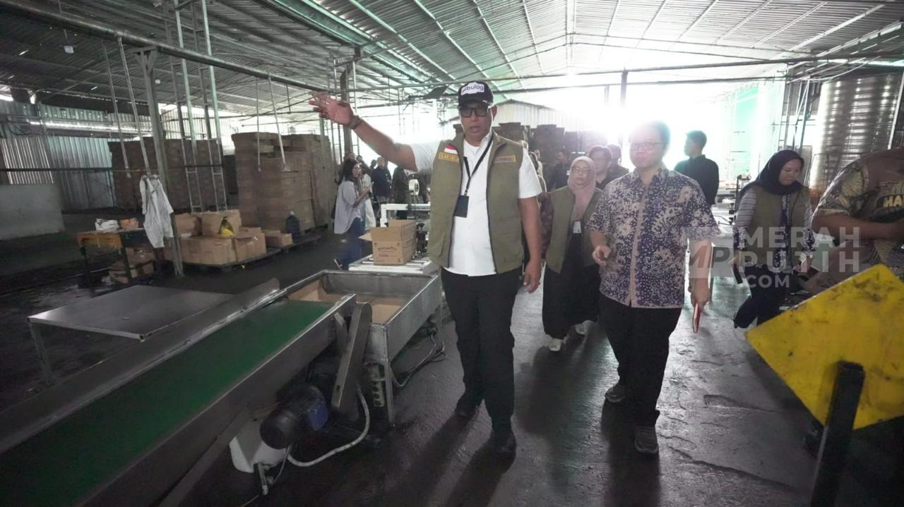 Dirut Bulog Sidak Pabrik Minyakita yang Berbau Solar, tak Ada Toleransi bagi Produk di Bawah Standar