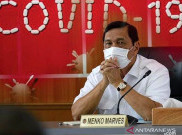 Para Pakar Beri Masukan Soal Menghadapi Omicron kepada Luhut