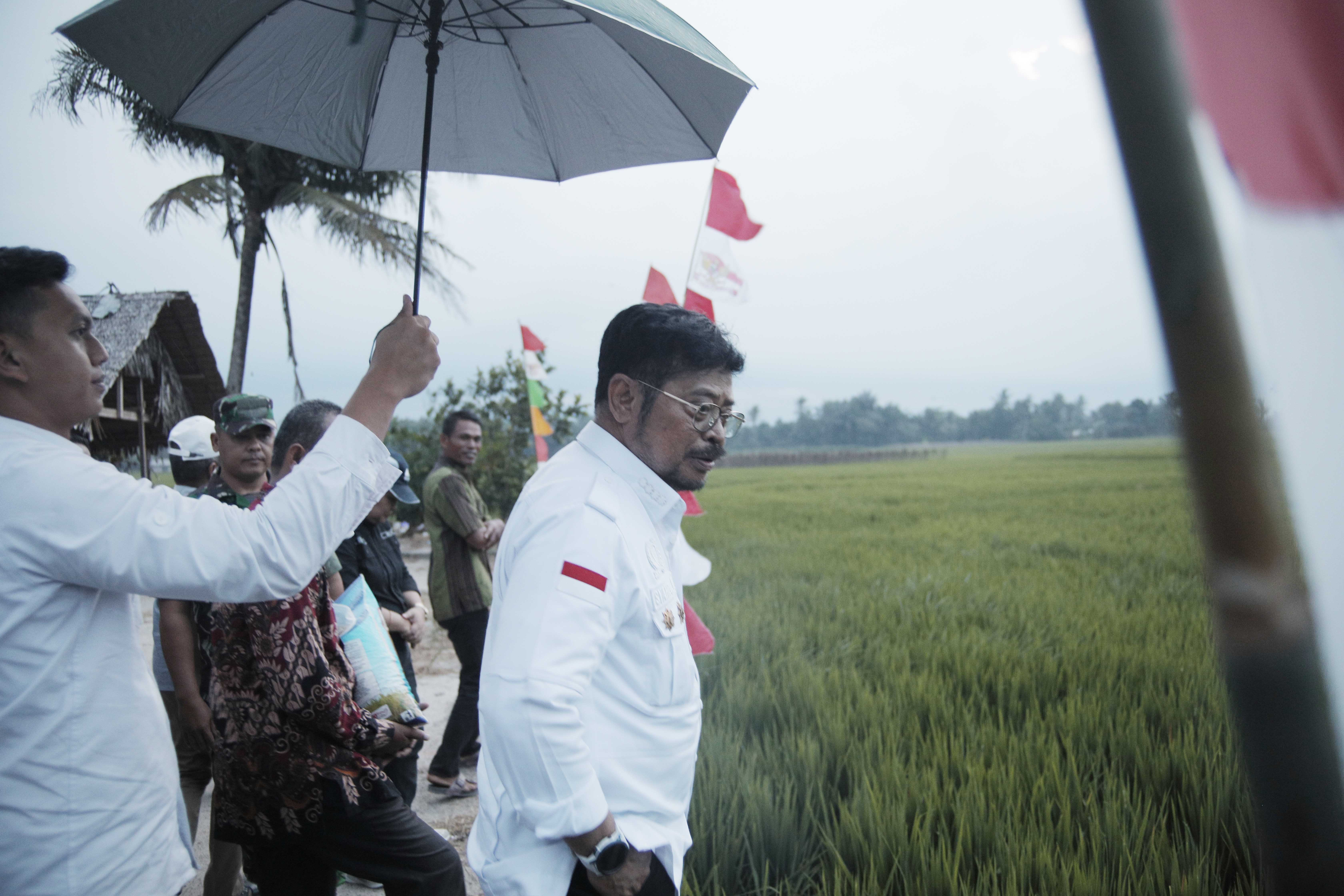KPK Bakal Panggil Keluarga SYL, Buntut Kasus Dugaan Pencucian Uang