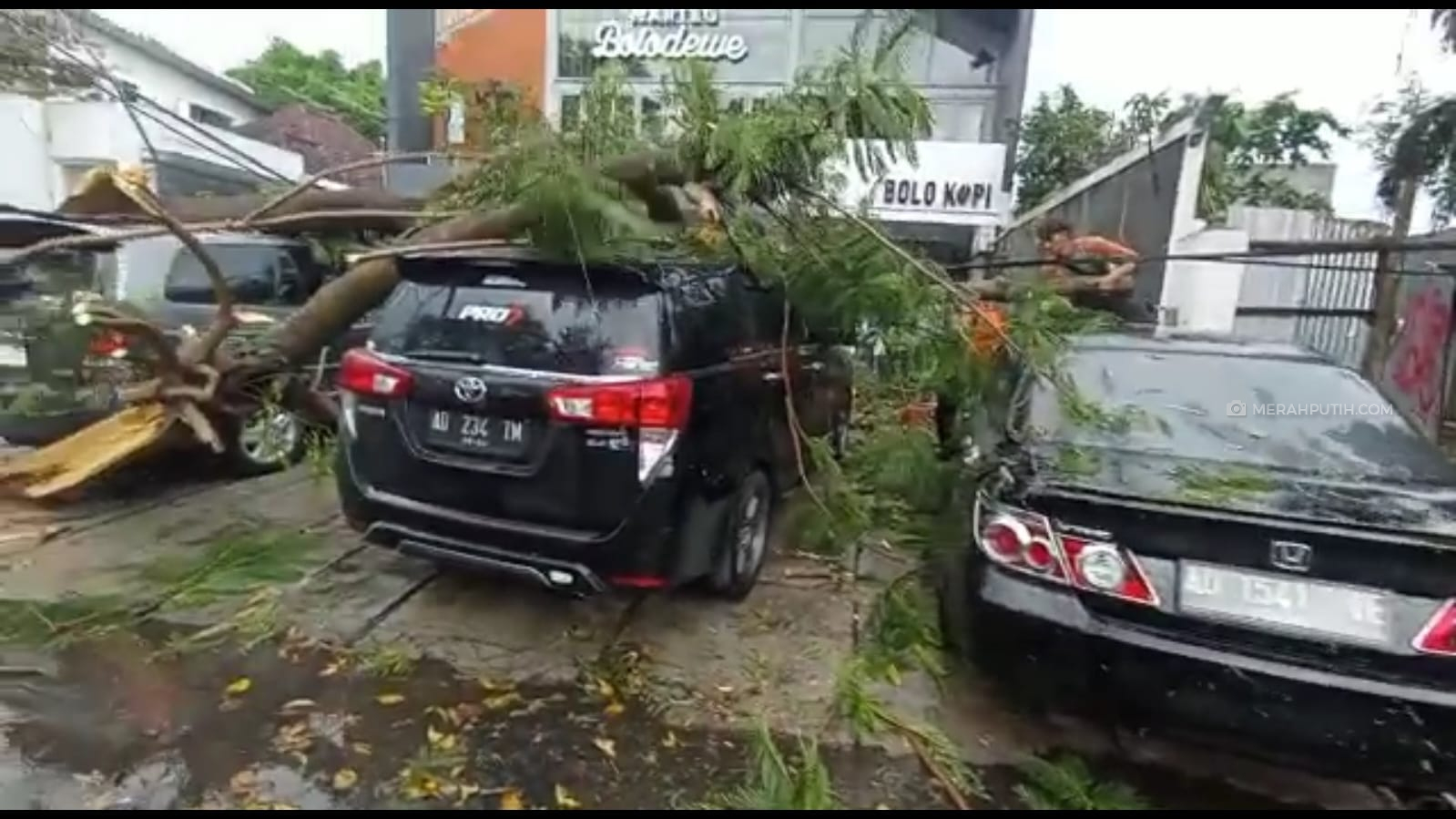 Pohon Tumbang Timpa 2 Mobil di Solo usai Hujan Deras Disertai Angin Kencang