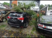 Pohon Tumbang Timpa 2 Mobil di Solo usai Hujan Deras Disertai Angin Kencang