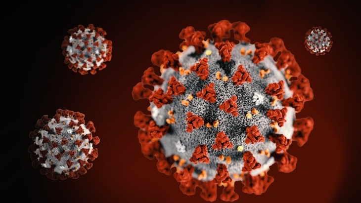 Ilustrasi virus Corona. (Foto- Net)