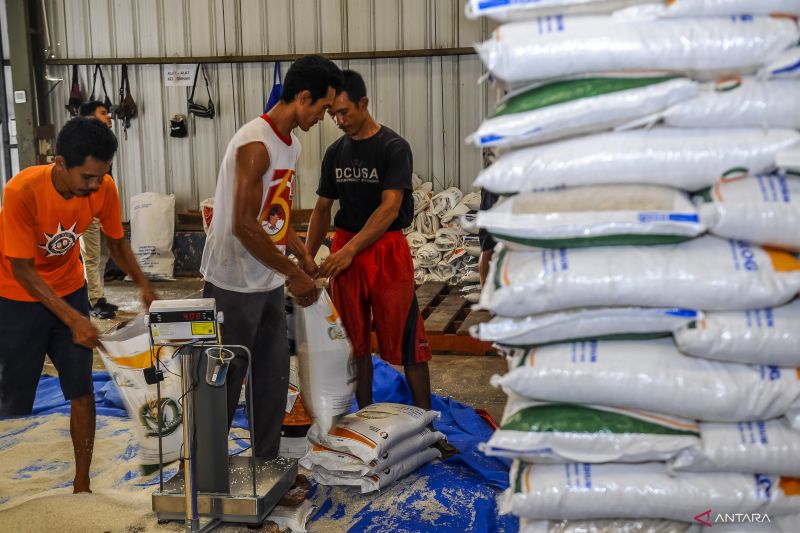 Kelompok Pangan Bergejolak Alami Inflasi 7,22 Persen