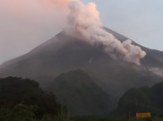  Gunung Merapi Semburkan Awan Panas Sejauh 1,5 Kilometer 