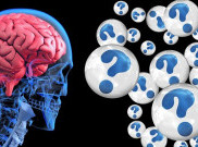 Kiat-Kiat Menurunkan Risiko Alzheimer