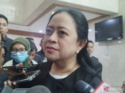 Puan PDIP Akui Daya Tarik Anies 