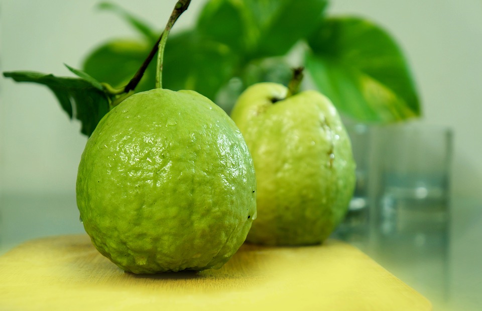 Jambu biji (Sumber: Pixabay/6437364)