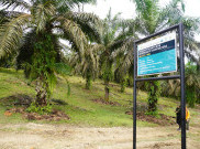 Perusahaan Diminta Beli Fisik Buah Sawit Bersertifikat RSPO Milik Petani Swadaya