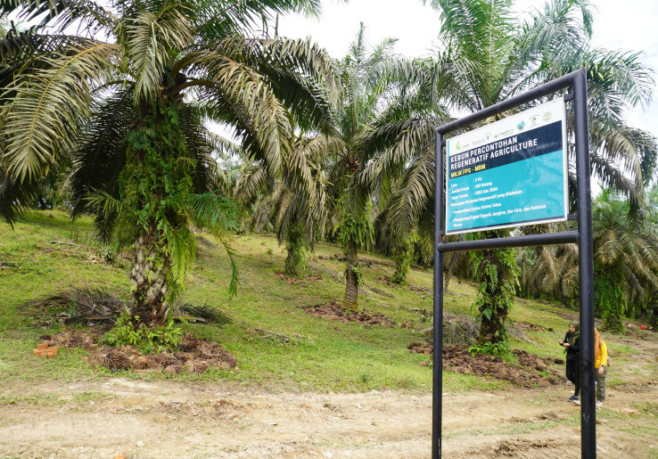 Perusahaan Diminta Beli Fisik Buah Sawit Bersertifikat RSPO Milik Petani Swadaya