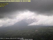 Gunung Semeru Erupsi Sore Ini, Awan Panas Meluncur 5 Kilometer ke Arah Besuk Kobokan
