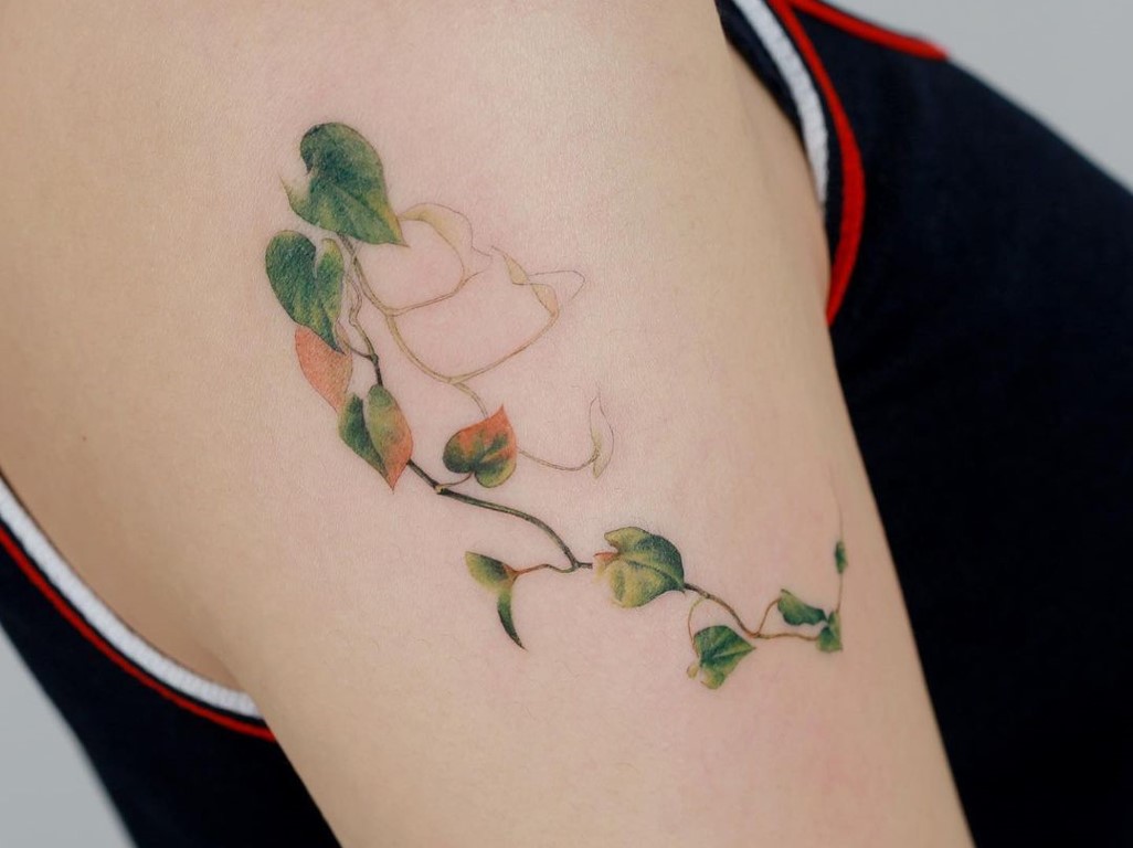 tato