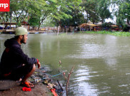 Misteri Buaya Putih dan Ular Bermustika Penunggu Situ Rawa Cipondoh